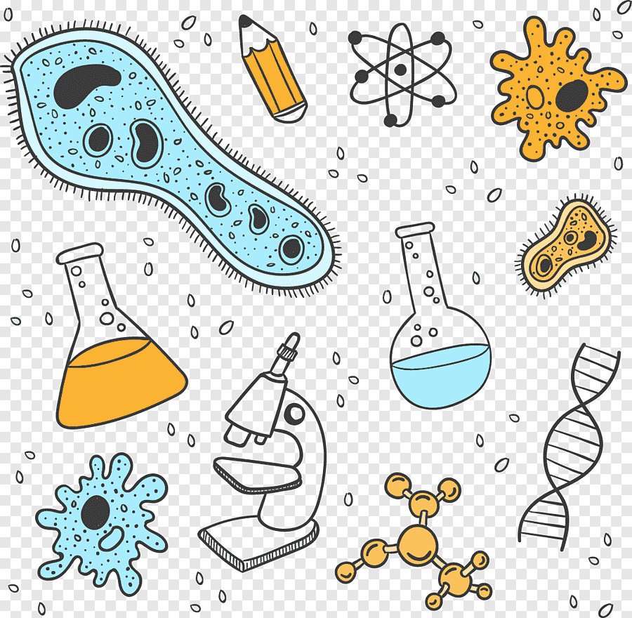 UP Board Class-12 Biology